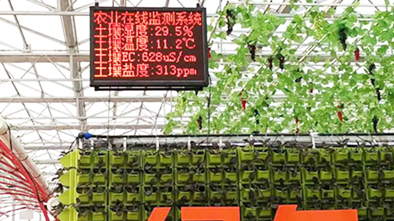現代農業示范基地環境采集項目